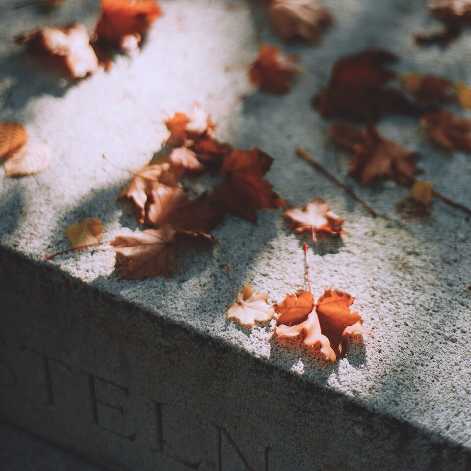Herbstlaub